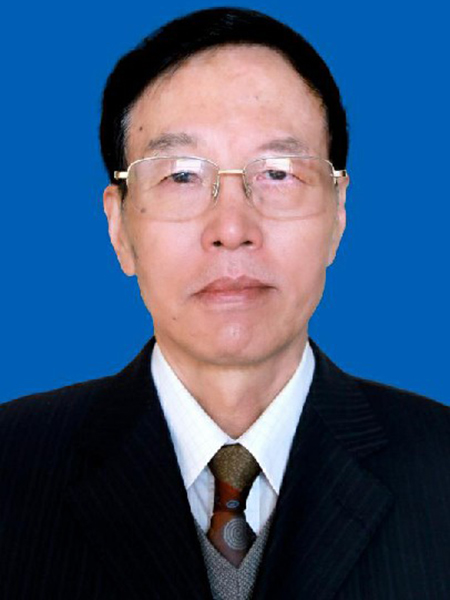 马洪琪